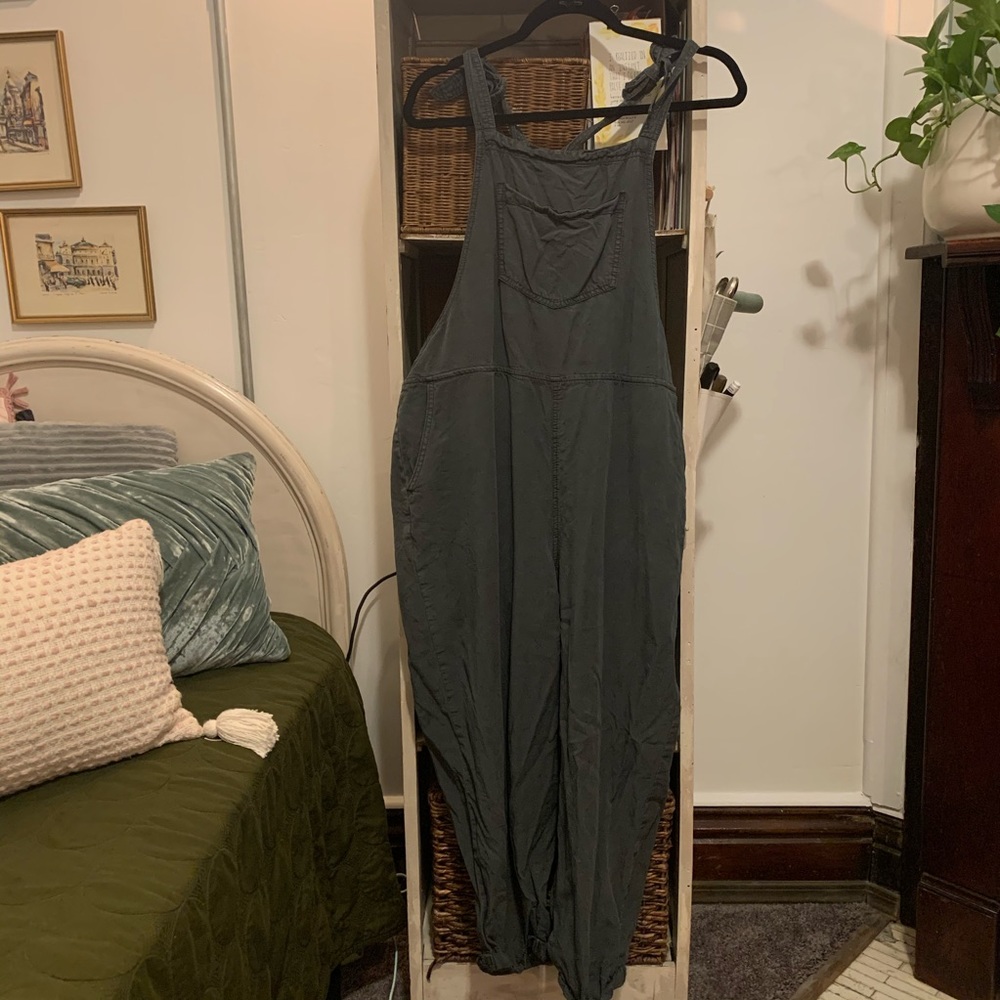 Aerie Overalls